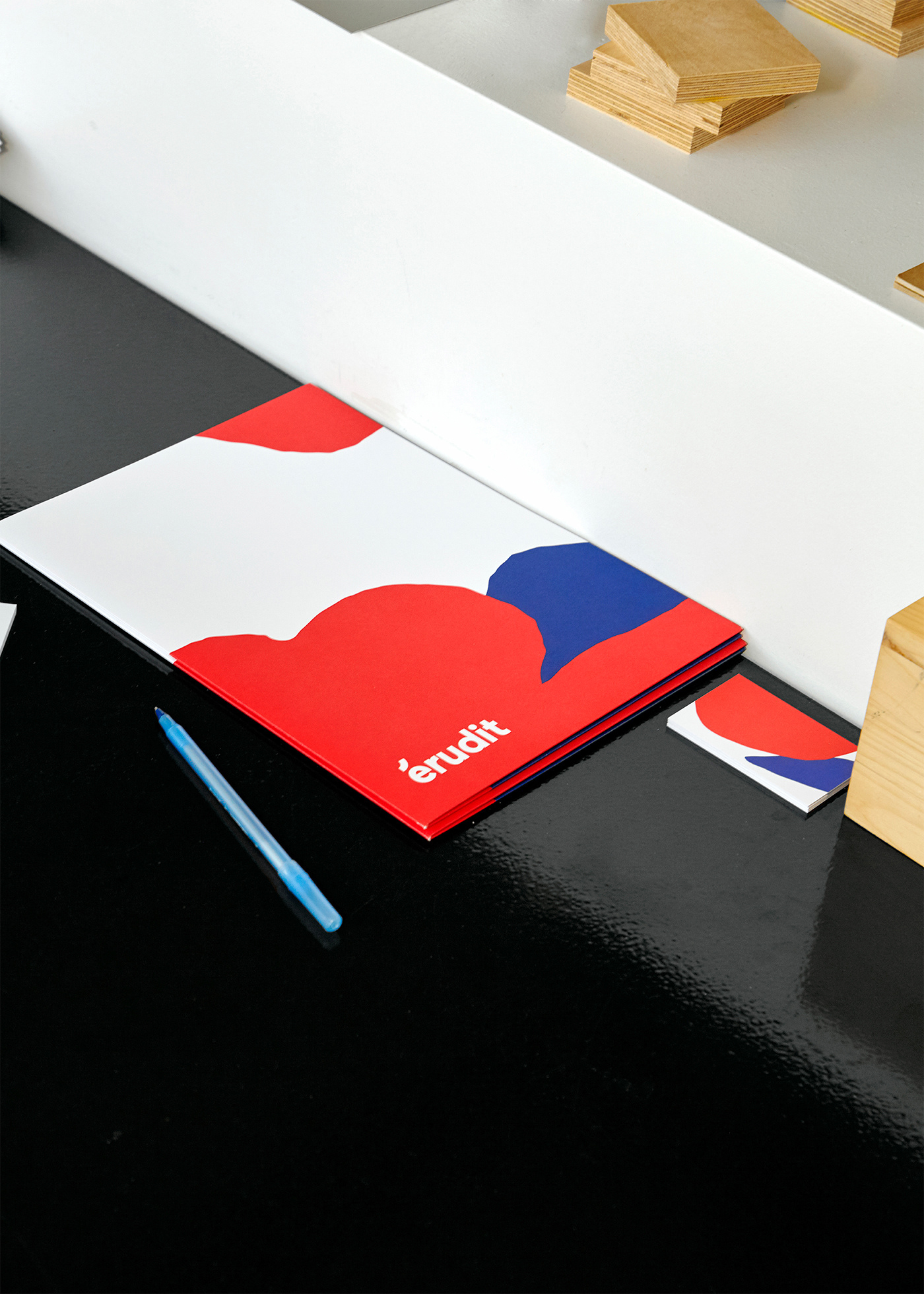 Érudit Corporate Design cover image