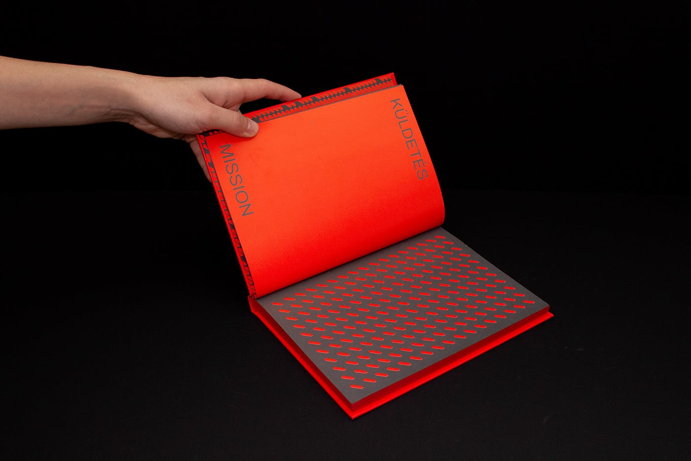Budapest Design Week jubilee book cover image