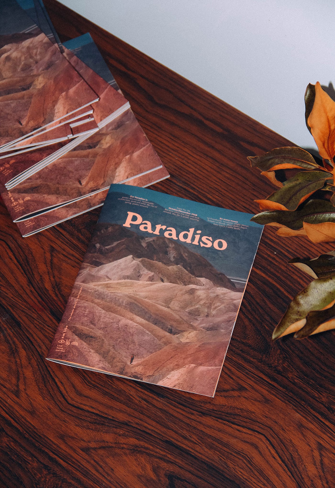 Paradiso No.6 Editorial Design cover image