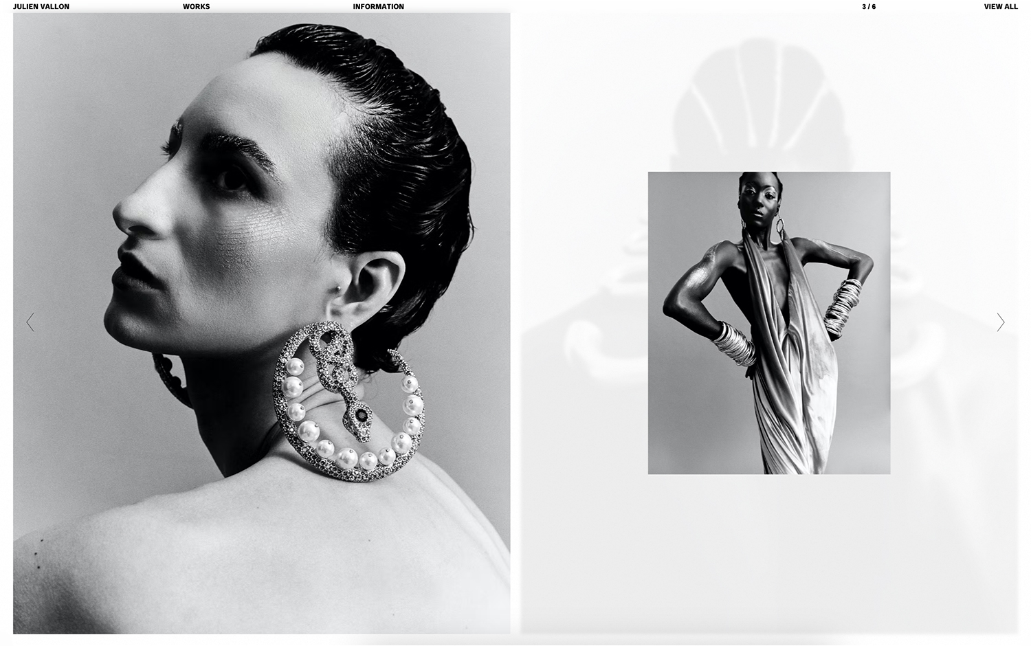 Julien Vallon cover image