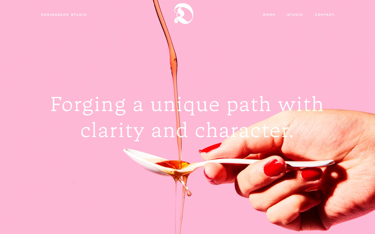 Designsake Studio cover image