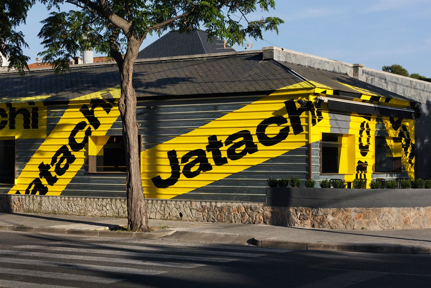 Jatachi Brand Identity cover image