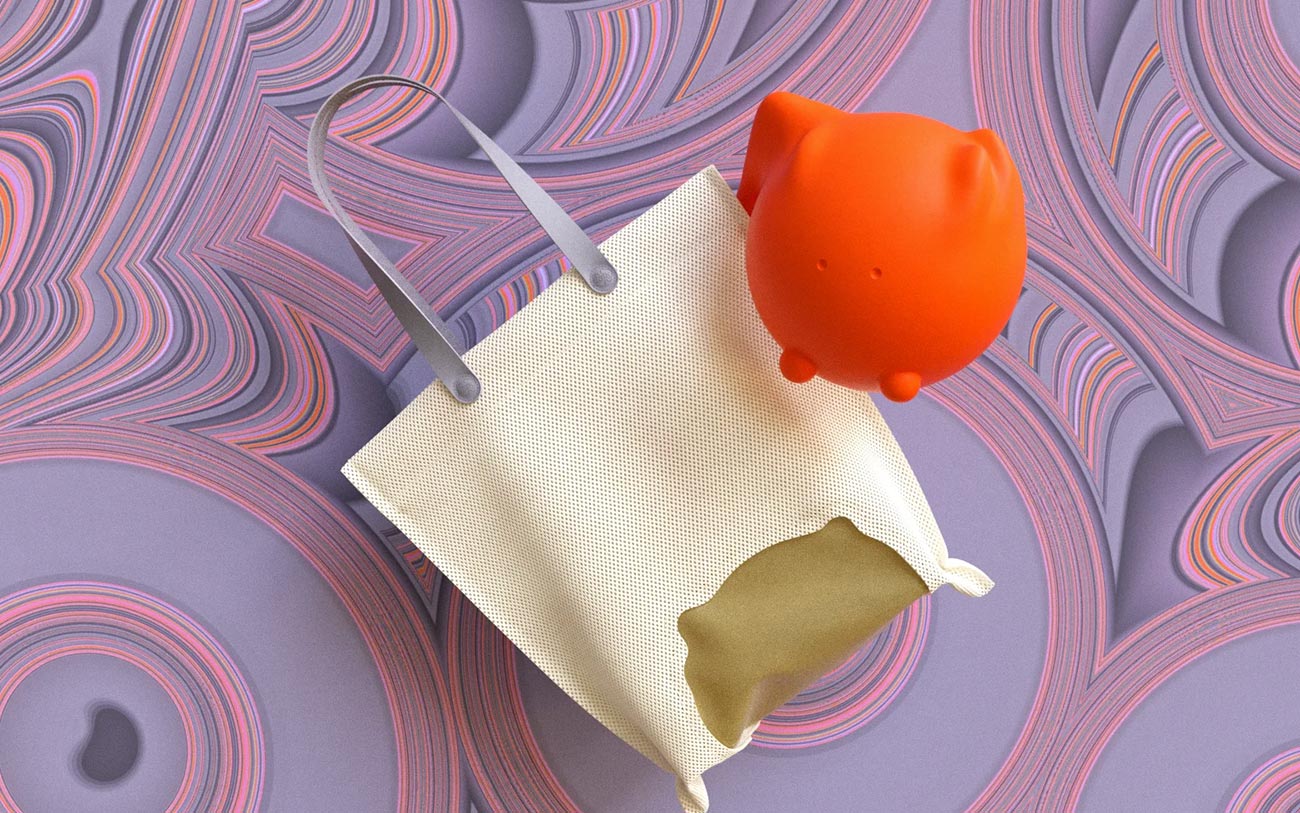 Bagashi Bags by ZEITGUISED cover image
