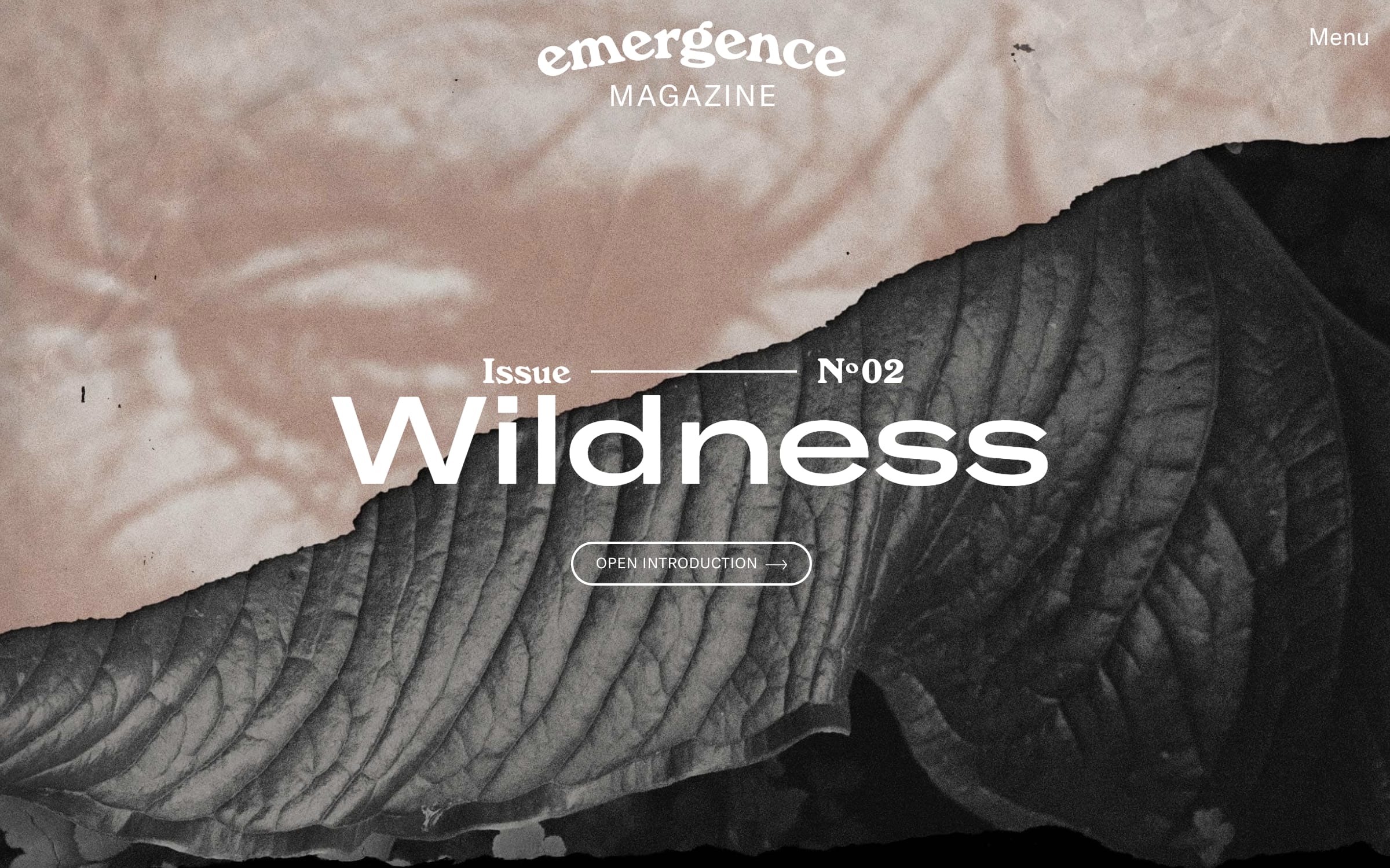 Emergence Magazine cover image