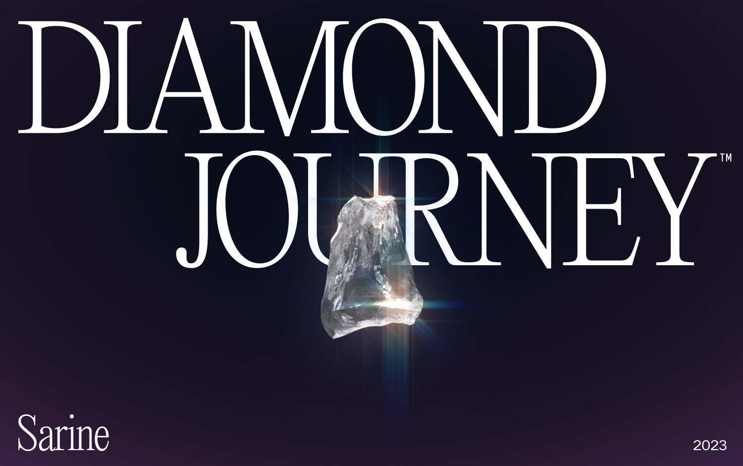 Diamond Journey cover image