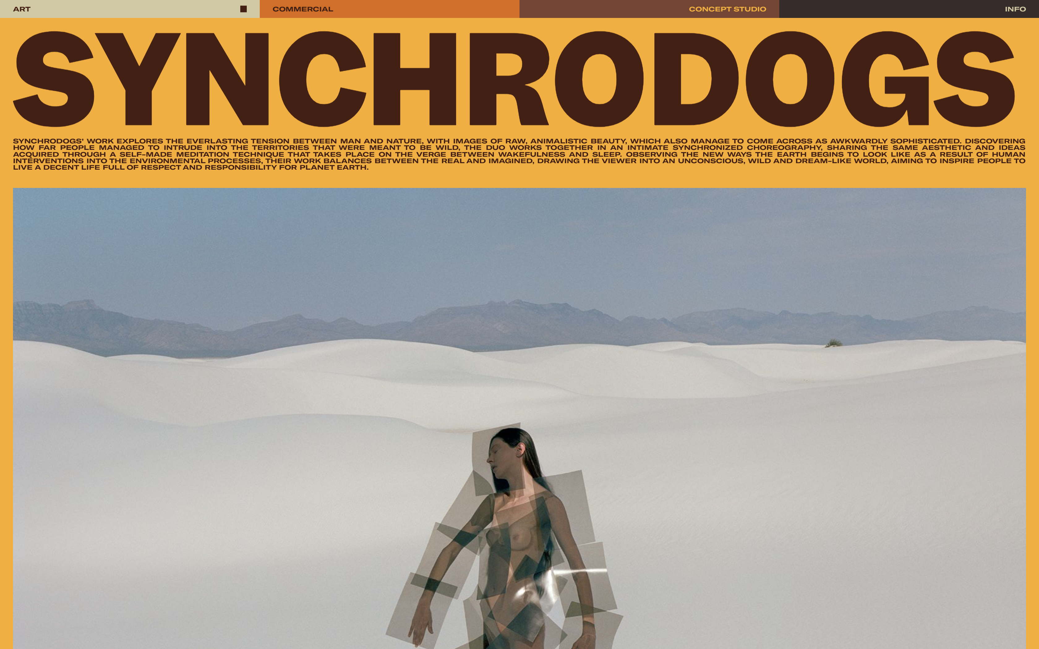Synchrodogs cover image
