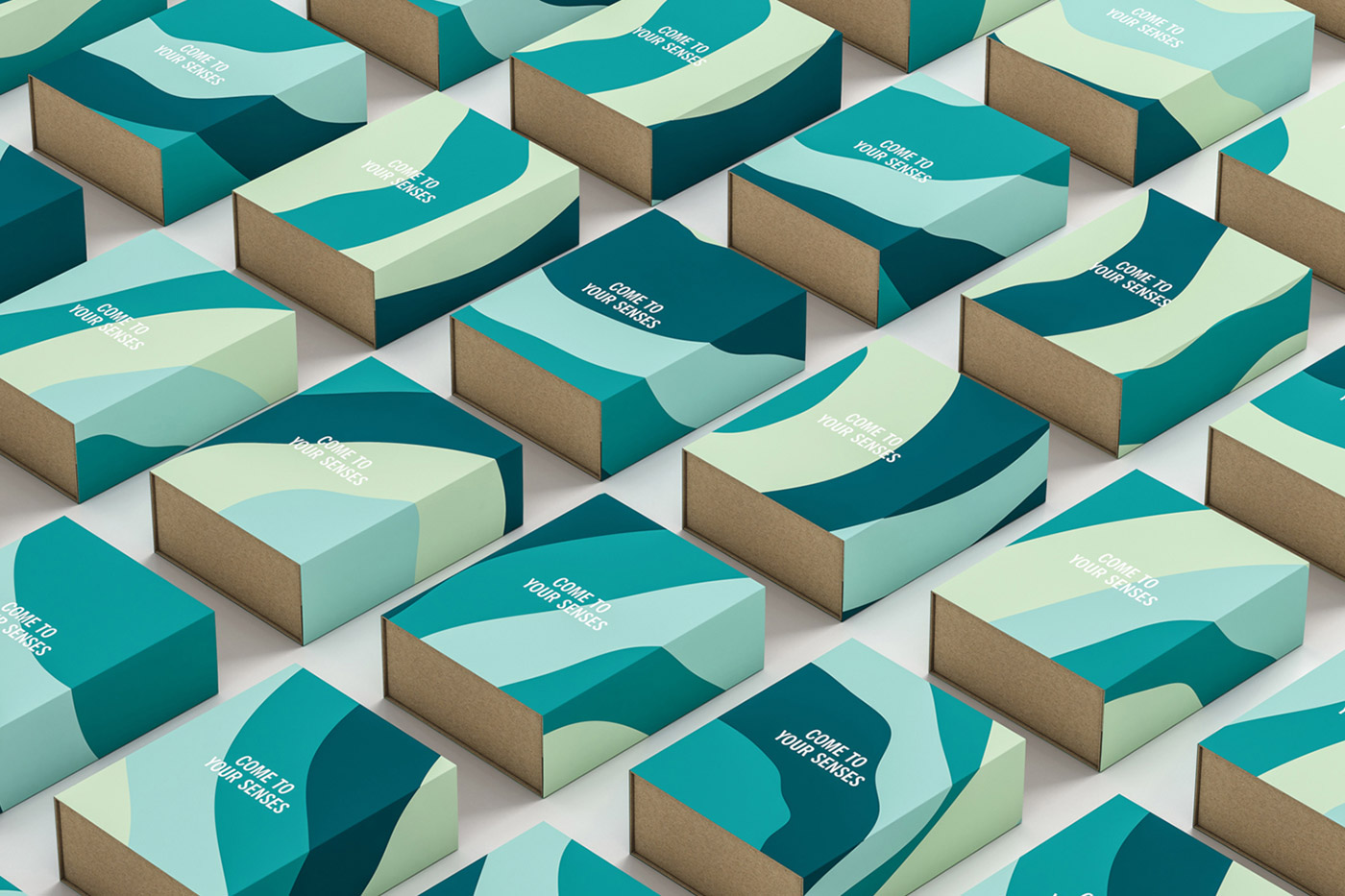 Uncommon Studio Identity cover image