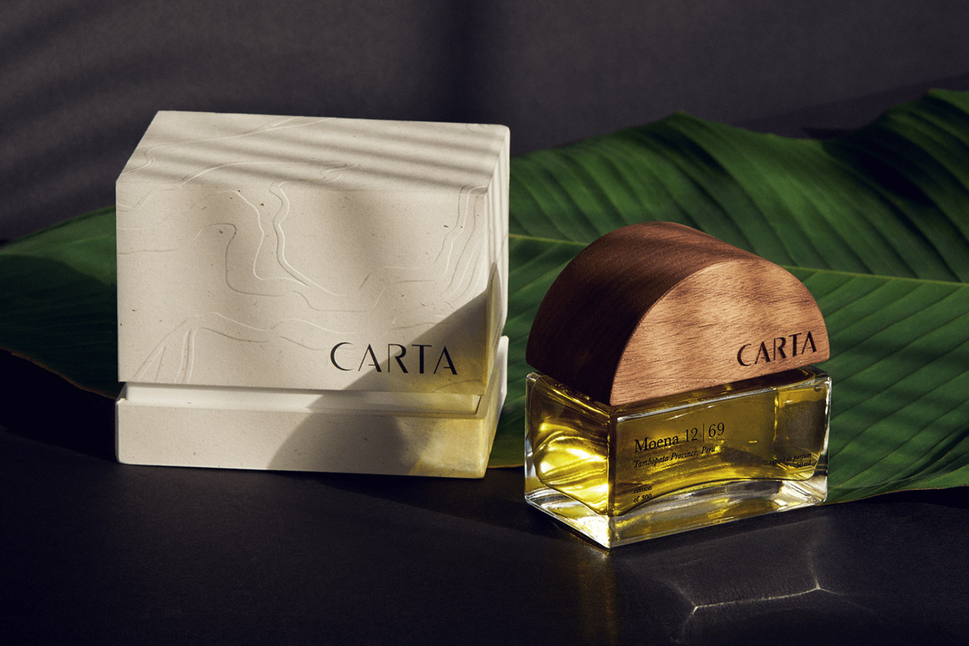 Carta Branding cover image