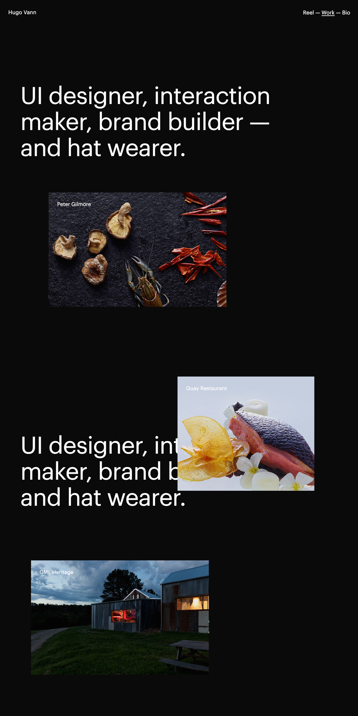 Hugo Vann cover image