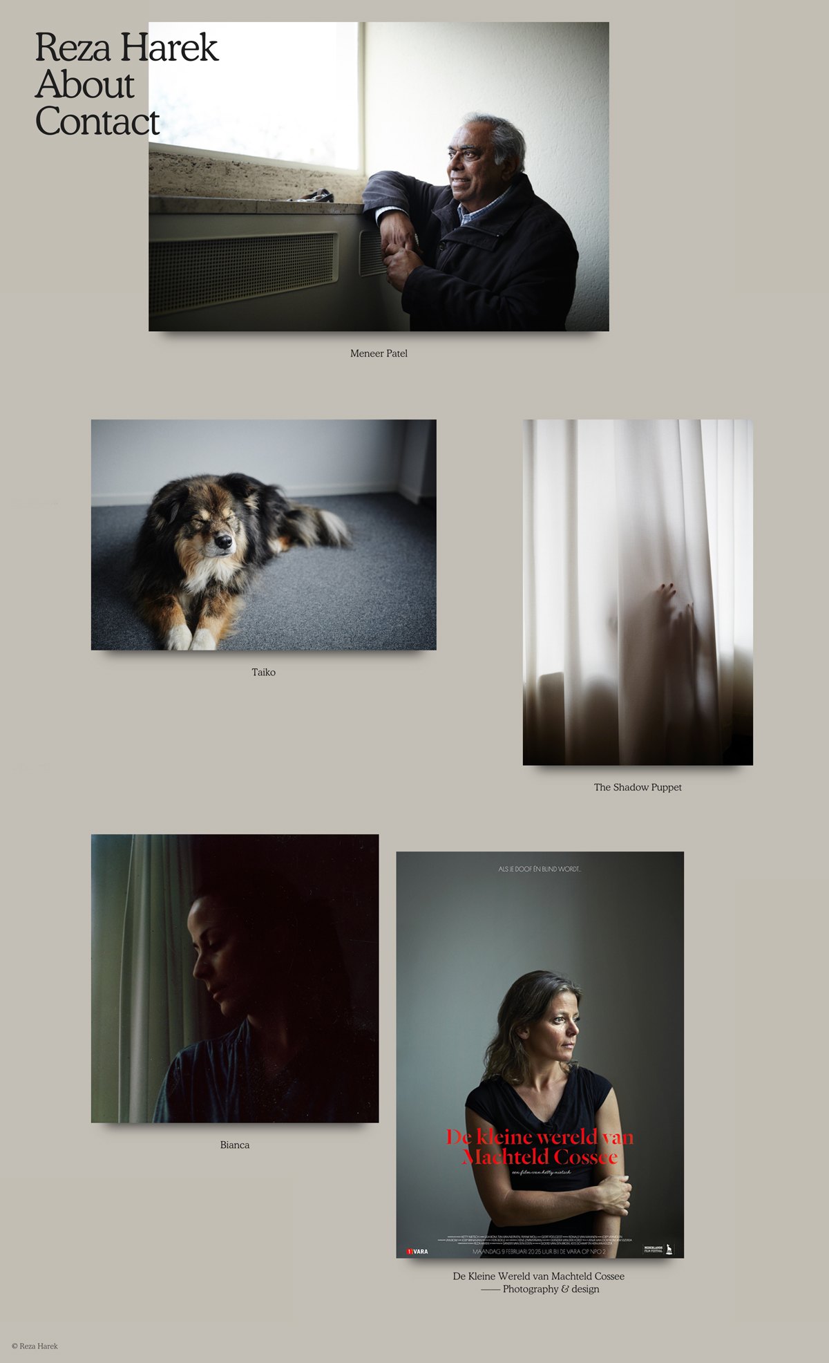 Reza Harek cover image
