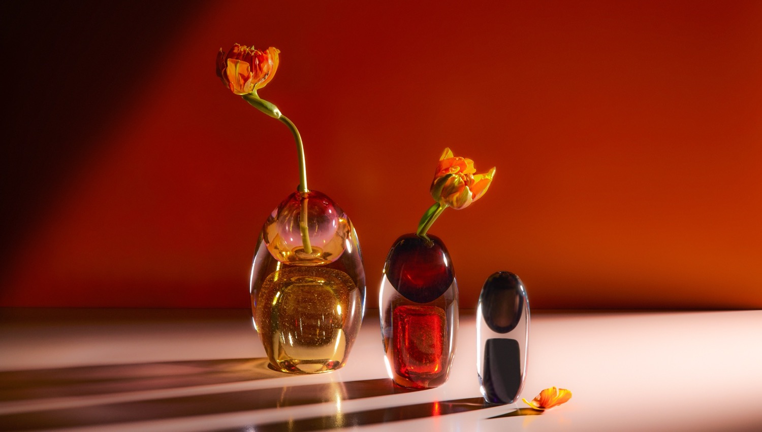 SEYM Glass Studio cover image