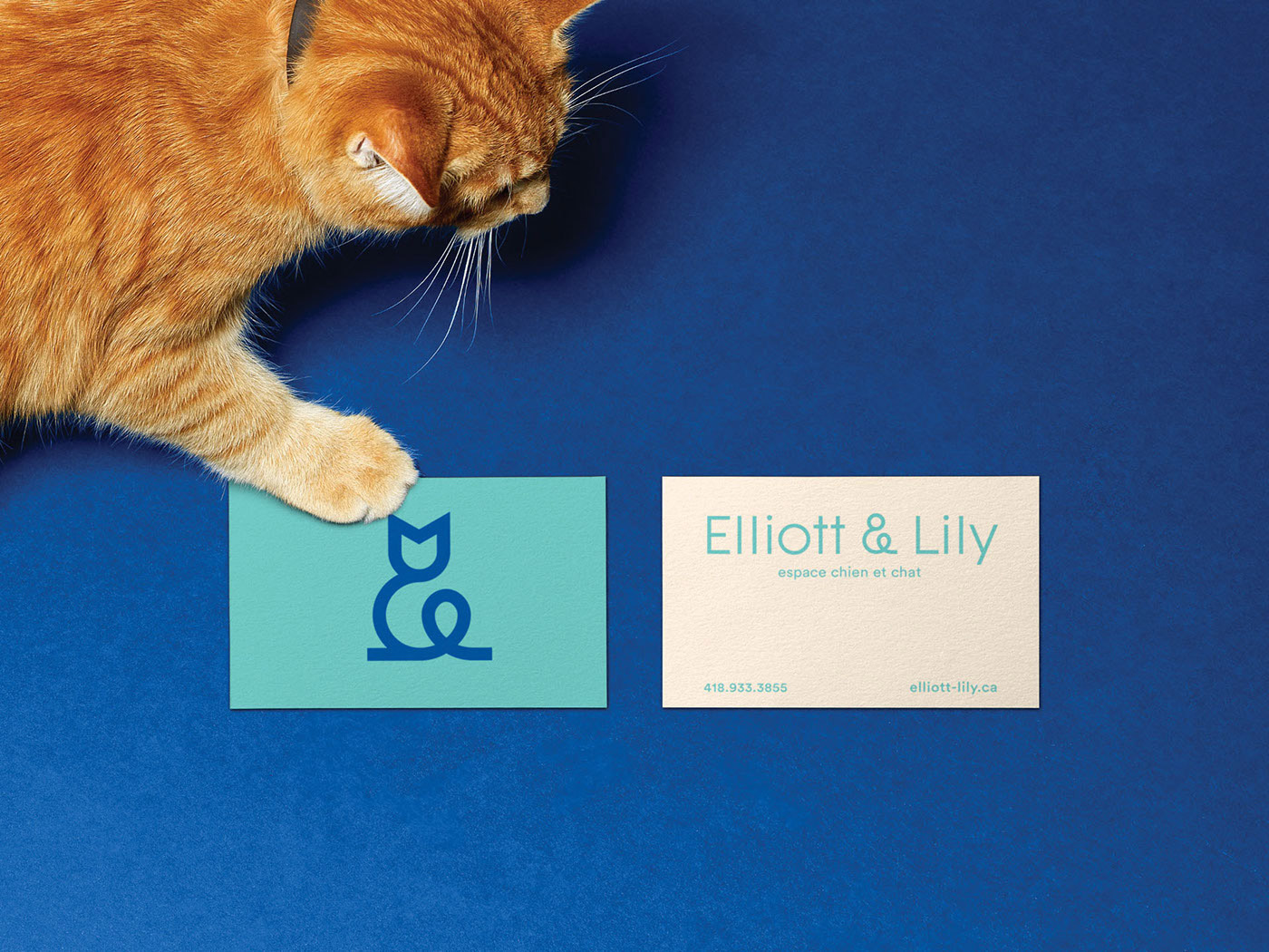Elliott & Lily Branding cover image