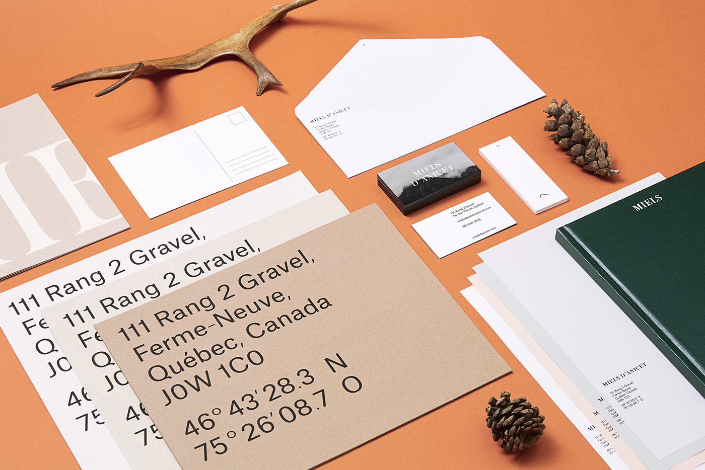 Miels d'Anicet Brand & Package cover image