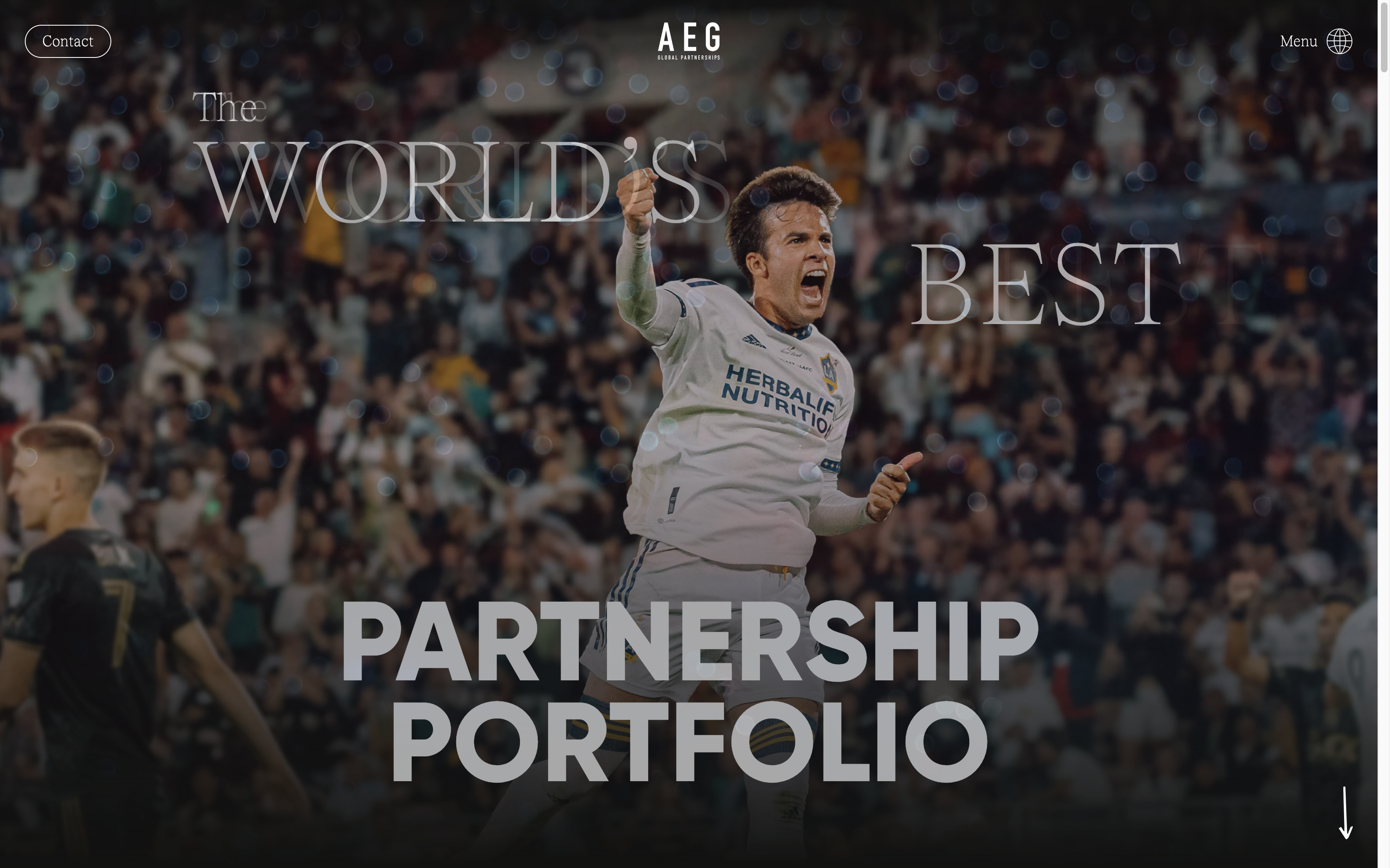 AEG cover image