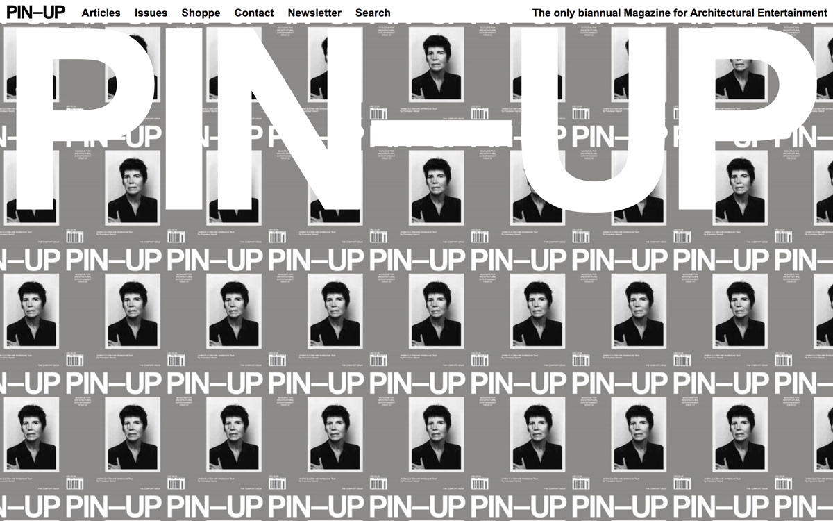 Pin Up cover image
